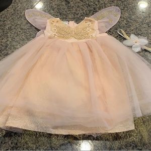 Pottery Barn Butterfly Fairy Costume, 12-24 months